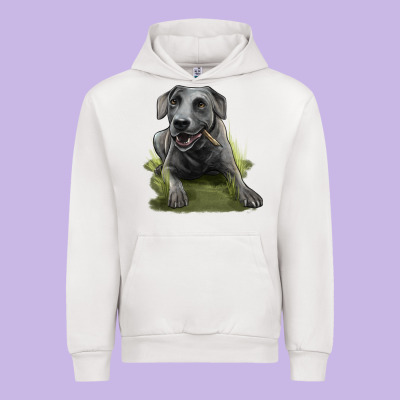 Texas Blue Lacy Dog Urban Hoodie Designed By Lillyallendesigns