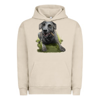 Pigment French Oak Texas Blue Lacy Dog Urban Hoodie - LillyAllenDesigns