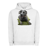 Pigment Lunar Rock Texas Blue Lacy Dog Urban Hoodie - LillyAllenDesigns