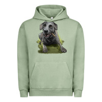 Pigment Oil Green Texas Blue Lacy Dog Urban Hoodie - LillyAllenDesigns