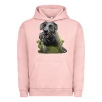Pigment Salmon Texas Blue Lacy Dog Urban Hoodie - LillyAllenDesigns