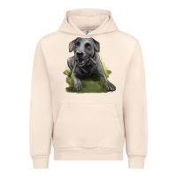 Sandshell Texas Blue Lacy Dog Urban Hoodie - LillyAllenDesigns