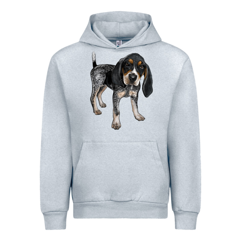 Bluetick Coonhound Urban Hoodie by LillyAllenDesigns | Teevron