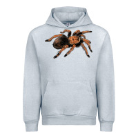 Heather Grey Mexican Red Knee Tarantula Urban Hoodie - LillyAllenDesigns