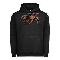 Pigment Black Mexican Red Knee Tarantula Urban Hoodie - LillyAllenDesigns