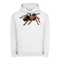 Pigment Lunar Rock Mexican Red Knee Tarantula Urban Hoodie - LillyAllenDesigns