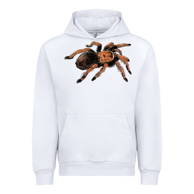 Mexican Red Knee Tarantula Urban Hoodie by LillyAllenDesigns | Teevron