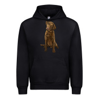 Black chesapeake bay retriever Urban Hoodie - LillyAllenDesigns
