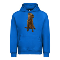 Cobalt chesapeake bay retriever Urban Hoodie - LillyAllenDesigns