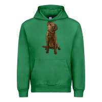 Emerald chesapeake bay retriever Urban Hoodie - LillyAllenDesigns