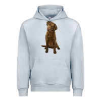 Heather Grey chesapeake bay retriever Urban Hoodie - LillyAllenDesigns