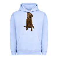 Pigment Grape Ice chesapeake bay retriever Urban Hoodie - LillyAllenDesigns