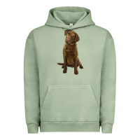 Pigment Oil Green chesapeake bay retriever Urban Hoodie - LillyAllenDesigns