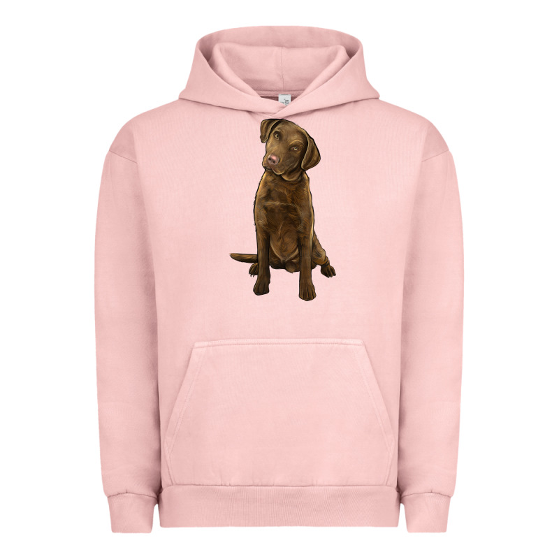 Chesapeake Bay Retriever Urban Hoodie by LillyAllenDesigns | Teevron
