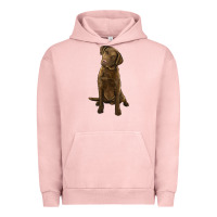 Pigment Salmon chesapeake bay retriever Urban Hoodie - LillyAllenDesigns
