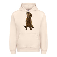 Sandshell chesapeake bay retriever Urban Hoodie - LillyAllenDesigns