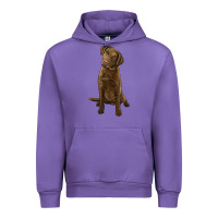 Tulip chesapeake bay retriever Urban Hoodie - LillyAllenDesigns