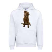 White chesapeake bay retriever Urban Hoodie - LillyAllenDesigns