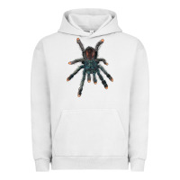 Pigment Lunar Rock Pink Toe Tarantula Urban Hoodie - LillyAllenDesigns