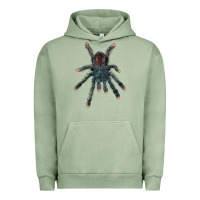 Pigment Oil Green Pink Toe Tarantula Urban Hoodie - LillyAllenDesigns