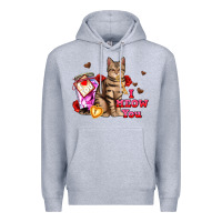 Heather Grey i meow you Premium Hoodie - AdoDesignShop