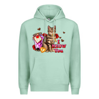 Seafoam i meow you Premium Hoodie - AdoDesignShop