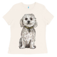 Bone bichon frise dog Ladies Tee - BarkalooDesign