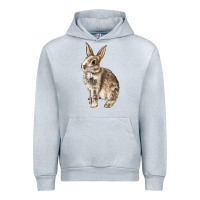 Heather Grey Rabbit Urban Hoodie - LillyAllenDesigns