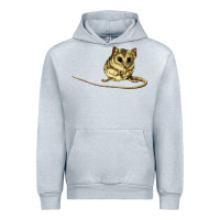 Heather Grey Dunnart Urban Hoodie - LillyAllenDesigns