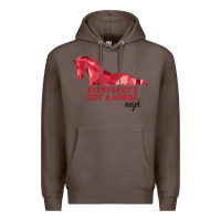 Coffee Everybody's Got A Horse Neigh Premium Hoodie - Bettercallsaul