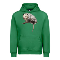 Emerald opossum Urban Hoodie - LillyAllenDesigns