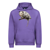 Tulip opossum Urban Hoodie - LillyAllenDesigns