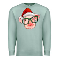 Seafoam christmas pig with santa claus hat Premium Sweatshirt - RanaPortraitStore