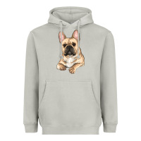 Moon Dust french bulldog sitting Heavyweight Hoodie - RanaPortraitStore