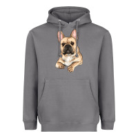 Storm french bulldog sitting Heavyweight Hoodie - RanaPortraitStore