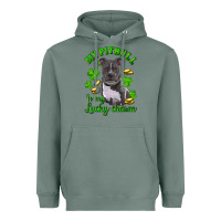 Sage st patricks day my pitbuli my lucky charm Heavyweight Hoodie - RanaPortraitStore