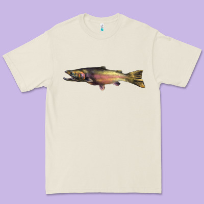 Steelhead Trout Premium Tee Designed By Lillyallendesigns