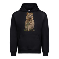Black Quokka Urban Hoodie - LillyAllenDesigns
