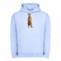 Pigment Grape Ice Meerkat Urban Hoodie - LillyAllenDesigns
