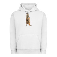 Pigment Lunar Rock Meerkat Urban Hoodie - LillyAllenDesigns