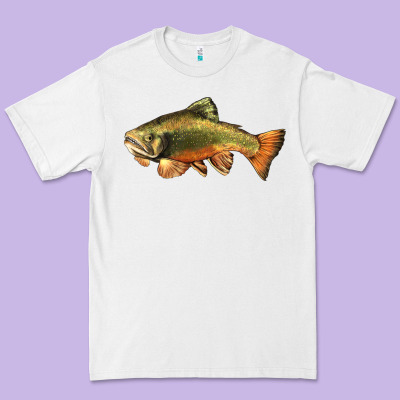 Leaping Brook Trout Premium Tee Designed By Lillyallendesigns