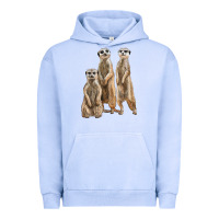 Pigment Grape Ice 3 meerkat Urban Hoodie - LillyAllenDesigns