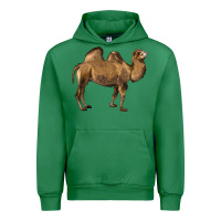 Emerald Camel Urban Hoodie - LillyAllenDesigns