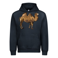 Navy Camel Urban Hoodie - LillyAllenDesigns