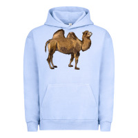 Pigment Grape Ice Camel Urban Hoodie - LillyAllenDesigns