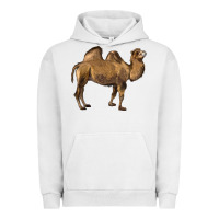 Pigment Lunar Rock Camel Urban Hoodie - LillyAllenDesigns