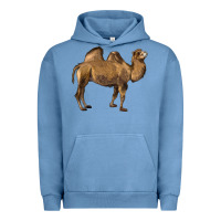 Pigment Pebble Blue Camel Urban Hoodie - LillyAllenDesigns