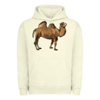 Pigment Pistachio Camel Urban Hoodie - LillyAllenDesigns