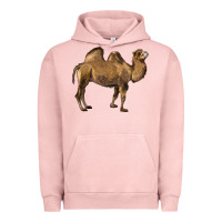 Pigment Salmon Camel Urban Hoodie - LillyAllenDesigns