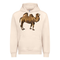 Sandshell Camel Urban Hoodie - LillyAllenDesigns